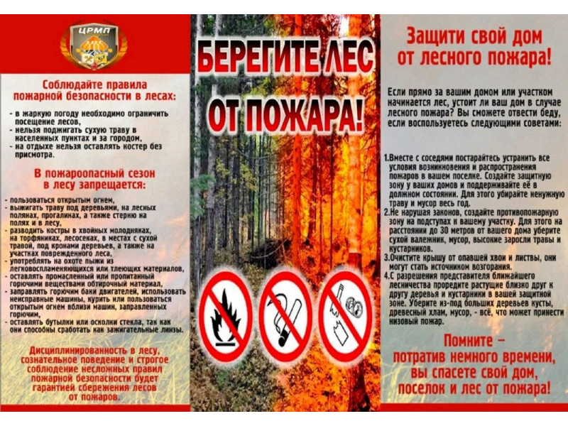 Берегите лес от пожара.